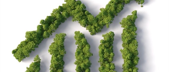 Sustaining the Future: Eco-Friendly Practices in Publishing