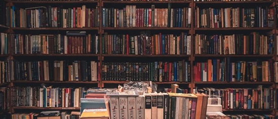 Why Indie Publishers Need Public Libraries Now More Than Ever